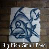 Big Fish Small Pond