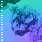 Leetle Sweetle Keetle