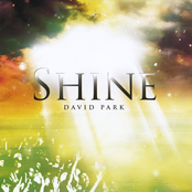 David Park: Shine