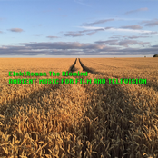 Ambient Music For Film And Television