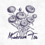 Mushroom Tea