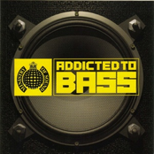 Addicted To Bass