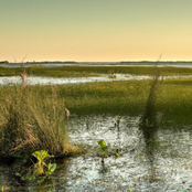 Las mejores Cachacas