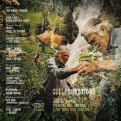 Collaborations - Weget.by