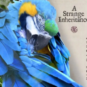 A Strange Inheritance