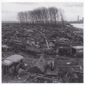 Birds' Wings Were Glued To Their Bodies And Their Feet Froze To The Ground