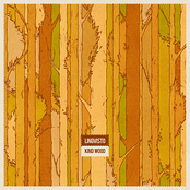 LP: Kind Wood / FC015