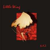 Nie Mogę Znaleźć by Little Wing