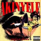 Worldwide by Akinyele