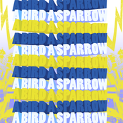 A Bird A Sparrow