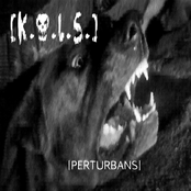 Perturbans