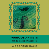 WF 38 - Undulating Waters 6