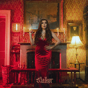 Stalker