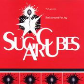 Lucky Night by The Sugarcubes