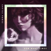 How Many Times - Single