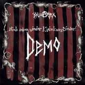 DEMO - Nich schon wieder Kleinkunztlieder