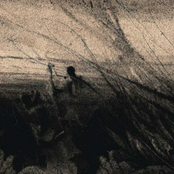 Fall In The Wake Of A Flawless Landscape