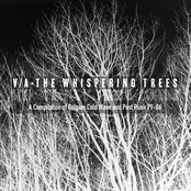 The Whispering Trees (A Compilation of Belgian Cold Wave and Post Punk 79-86)