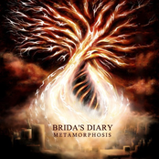 brida's diary