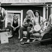 Steve 'n' Seagulls