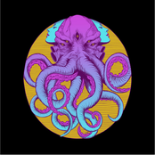 electric octopus