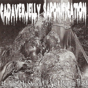 Abominable Stench Of Vast Human Waste / Felt-Up By A Copromaniac
