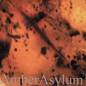 Romantic Theme by Amber Asylum