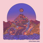 Strutman Lane: Lavender Haze