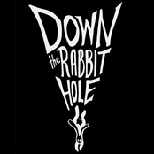 Down the Rabbit Hole