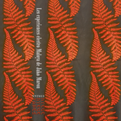 The electro Maloya experiments of Jako Maron (Expanded Edition)