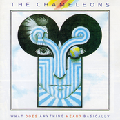 Singing Rule Britannia (while The Walls Close In) by The Chameleons