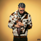 Le Langage Des Chèvres