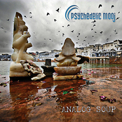 Analog Soup