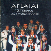 Voz y Música Mapuche