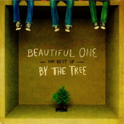Beautiful One: The Best of By the Tree