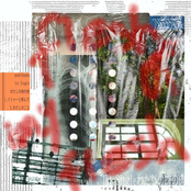 わたしの肉の肉