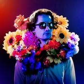 Jazz Emu: Technically, Probably More Of The Same, I Suppose, In Theory