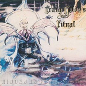 Hidden in Plain Sight