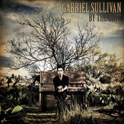 Junkman Blues by Gabriel Sullivan