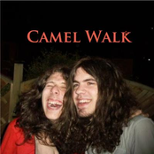 camel walk