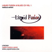 Liquid Fusion (R) Blues CD Vol 1