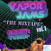 VAPOR JAMS "The Mixtape" Vol.1