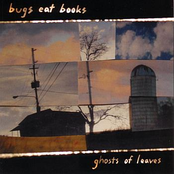 On To You by Bugs Eat Books