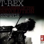 Children of the Revolution: An Introduction to Marc Bolan