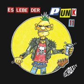 Es Lebe Der Punk Vol. 11