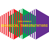 Biological Transmutations