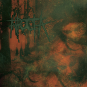 Guns Solve Most Arguments