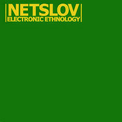 electronic ethnology