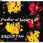 Flower Of Sugar e.p.