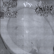 Cannibe VS Devoured by Vermin